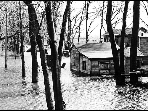 flood195123